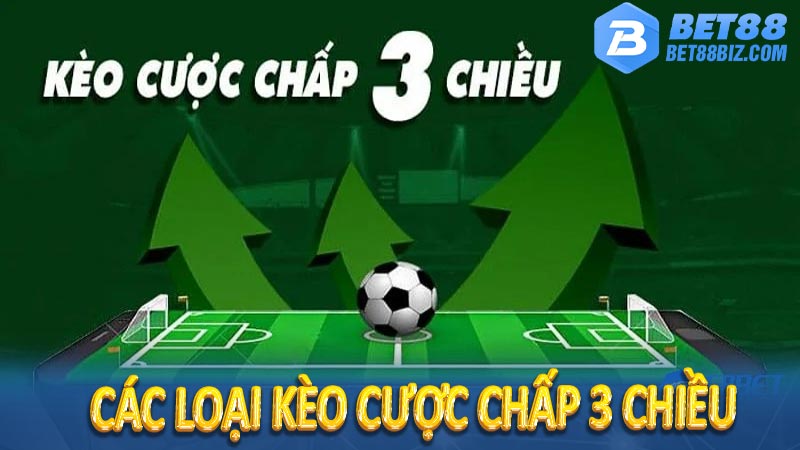 Các loại kèo cược chấp 3 chiều