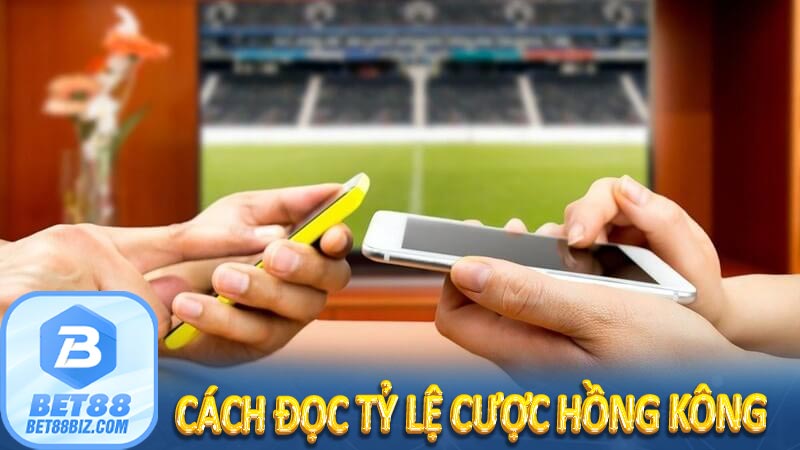 Cách đọc tỷ lệ cược Hồng Kông